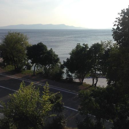 Apartment Marina Senj سينج المظهر الخارجي الصورة